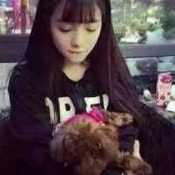 QQ個性裝扮全攻略 從頭像到簽名的一站式靈感庫